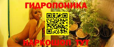 индика Краснознаменск