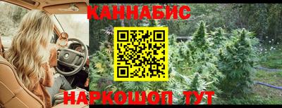 индика Краснознаменск
