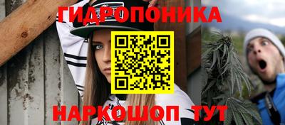 индика Краснознаменск
