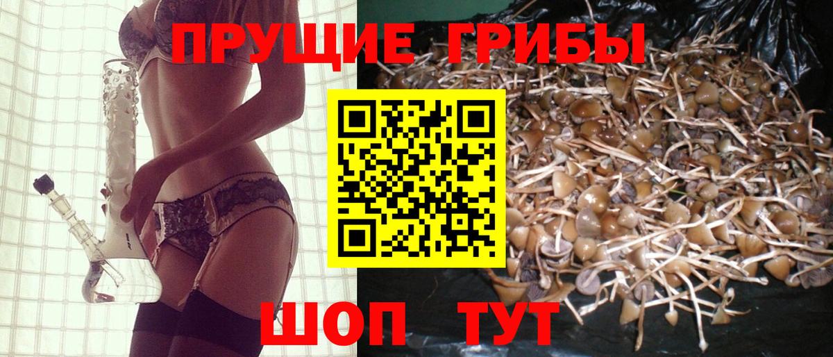 Изобильный  купить   Вход с VPN  Галлюциногенные грибы Psilocybe 