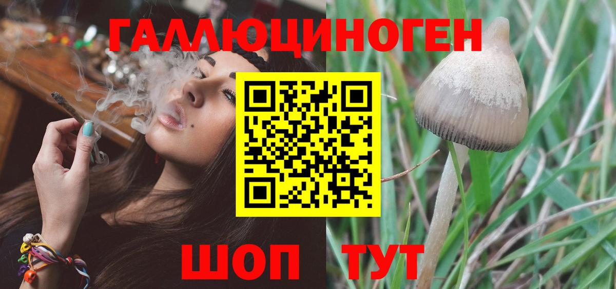 Псилоцибиновые грибы Psilocybine cubensis Изобильный